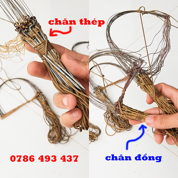 giò bẫy gà rừng chân thép, đồng