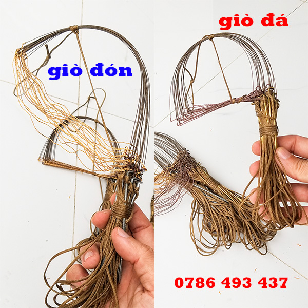 giò bẫy gà rừng chân đá